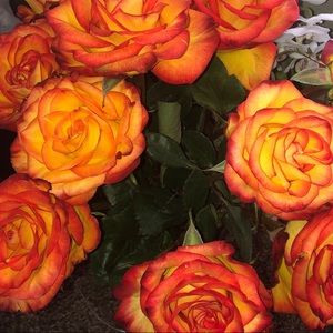 Meet your Posher, Valerie